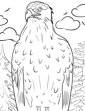 Chesterman Beach — illustrated coloring page from the Tofino coloring book