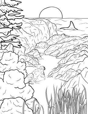 Illustrated coloring page of Secret Cove — Tofino
