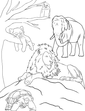 Illustrated coloring page of Zoo — Toronto, Ontario