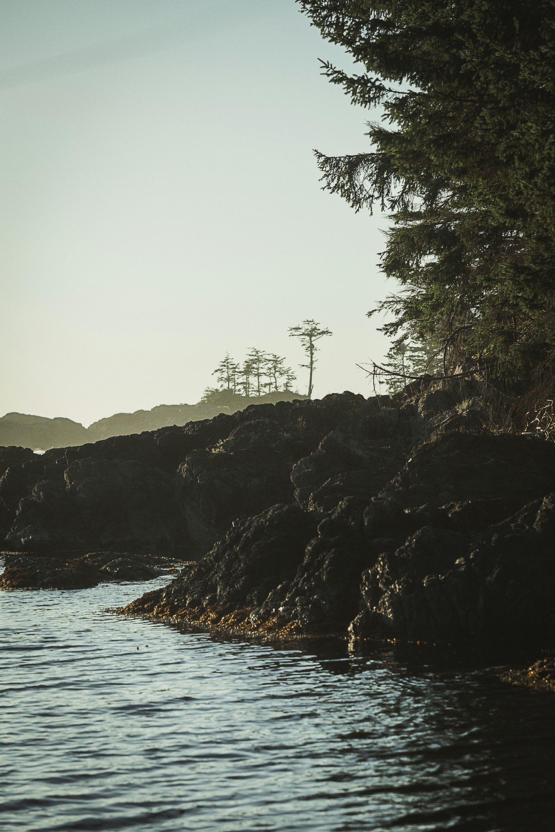 Wild Pacific Trail — illustrated coloring page from the Ucluelet coloring book